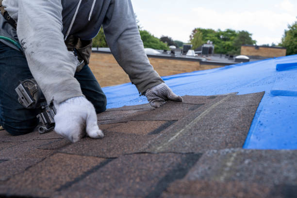 Best Storm Damage Roof Repair  in Berne, IN